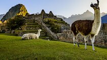 Tour de Día Completo a Machu Picchu