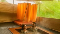 Ayurvedic Natural Therapies Sauna and Mud Bath in Arambol Goa