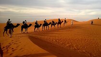 Desert Safari Dubai With Live Shows and BBQ Buffet Dinner