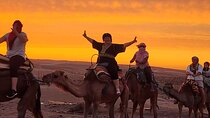 Marrakech Agafay Desert : Camel Ride Sunset and Dinner Show 