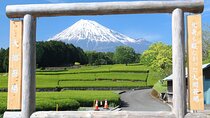 Luxury Mt. Fuji Day Trip by Shinkansen + Private Car