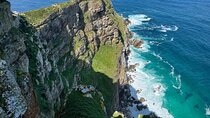 Full-day Cape of Good Hope&table mountain 
