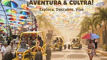 Buggy Adventure and Cultural Tour in Puerto Plata