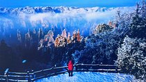 Private Zhangjiajie Park 1 Day Tour with Guide and Car