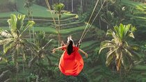 All Inclusive Swing, Zipline, Rice Terrace, Temple and Waterfall