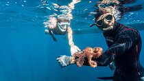 Spearfishing Adventure on the Amalfi Coast