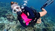 Hurghada Underwater Adventure – Full-Day Scuba Diving with Lunch