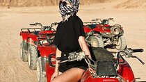 Super Safari (ATV Quad, Buggie , Jeep , Bedouin village , Party) from Hurghada