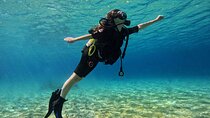 Hurghada Scuba Diving for Beginners Full-Day Adventure with Lunch