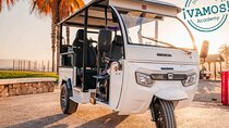 Tuk Tuk Adventure through Málaga with Spanish Crash Course