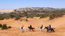 Agadir Horse Riding Experience Along the Coast