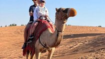 Abu Dhabi Desert Safari with Red Dunes 4x4 Pick Drop Dinner Shows