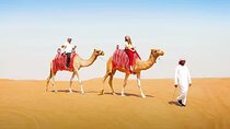 Dubai Safari: Dune Bashing, Camel Rides, Dinner and Stargazing