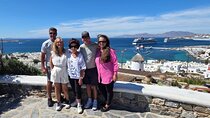 Discover Mykonos Island In Half Day Private Tour