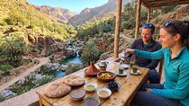 Paradise Valley excursion with botanical garden + Berber breakfast