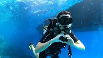 PADI Open Water Diving Course with transfer / Marsa Alam