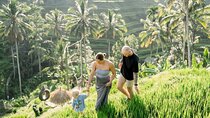 Ubud Adventure All Inclusive Private Day Tour