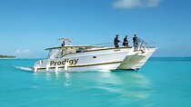 Punta Cana Catamaran Private Tour with BBQ and Natural Pool