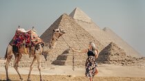 Top Rated Giza Pyramids,Sphinx,Camel ride,lunch & inside pyramids