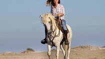 2 Hours Horse Riding Tour on Beach & Desert & Transfer : Hurghada
