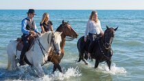 Sunrise Horse Riding 2H Beach and Desert with Transfer / Hurghada