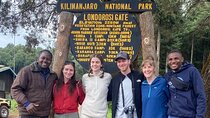 Kilimanjaro Day Hike via Lemosho Route Full Day Experience