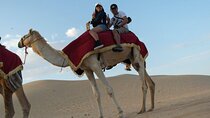 2 Hour Camel Journey across the Stunning Desert / Marsa Alam