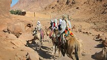 2 Hours Picturesque Camel Ride in the Desert :Sharm El Sheikh