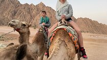 Camel Ride 1 hour At The Stunning Desert With Transfer : Hurghada
