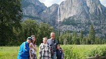 Private Los Angeles to Yosemite Valley Multi Day Tour