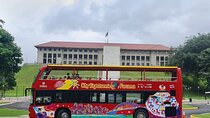 Get to know the city on board CitySightseeing Panama (24 Hours)