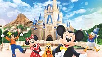 Tokyo Disneyland or DisneySea Ticket and One Way Shared Transfers