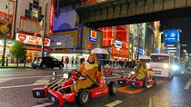 Akihabara Go-Karting + Guided Anime & Gaming Tour