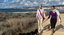 Scenic Beach Walk with Rescue Dogs