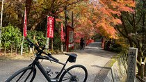 Private E-bike tour of Old Kyoto
