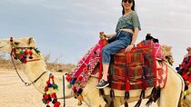Camel Ride One hour At The Desert With Transfer / Hurghada
