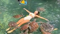 Zanzibar Swim, Snorkel & Feed Turtles at Baraka Aquarium