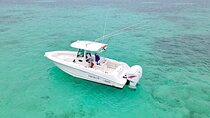 Reef Fishing Adventure Over Coral Reefs