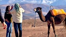 Marrakesh Agafai Desert camel ride experience and dinner show 