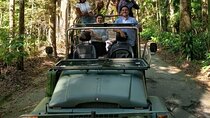 Ecological Jeep Tour