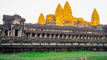 Siem Reap to Phnom Penh Journey 5 Day Cambodia Heritage Tour