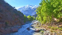 Ourika Valley Tour with eSIM 1GB for Free