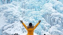 Eobi Ice Valley Nami Island and Gangchon Rail Park Seoul