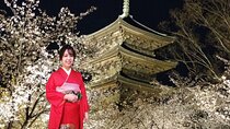 Take indoor Photos wearing Traditional Kimono