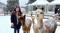 Eobi Ice Valley Nami Island and Alpaca World Tour from Seoul