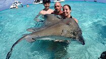 Stingray City Sandbar, Snorkel, Star fish Beach (Family operated)