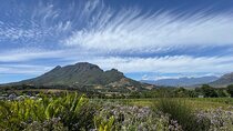 Winelands Cape Town to Stellenbosch & Franschhoek Lux EV/7 seater