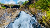 Full Day Join Goa Tour: Dudhsagar Waterfalls & Spice Planatation