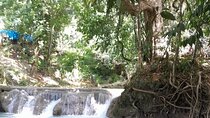 Private Blue Hole and Dunns River Day Trip from Kingston