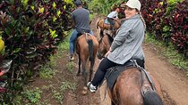 Tubing Tour and Horseback Riding in Rio Celeste
